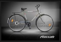    دوچرخه شهری دیان