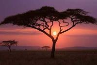 تور آفریقای جنوبی